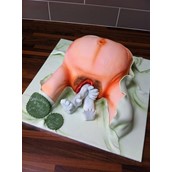 Graphic Vagina Cake Giving Birth Cake Babyshower Cake Licky Lips Cakes Liverpool3