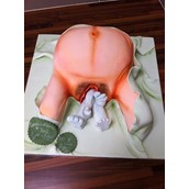 Graphic Vagina Cake Giving Birth Cake Babyshower Cake Licky Lips Cakes Liverpool 2
